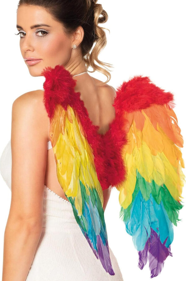 Envolez-vous avec style grâce aux Ailes d'Ange Arc-en-ciel ! En plumes naturelles multicolores, elles sont l'accessoire parfait pour un festival, un carnaval ou une soirée à thème.