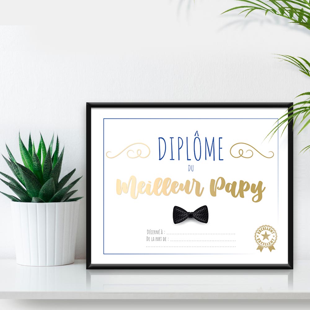 CADRE DIPLOME MEILLEUR PAPY. Ce cadre spécial meilleur papy ne manquera pas d’originalité pour faire d un jour particulier, un moment inoubliable. Mention excellent. Personnalisable. couleurs blanc et doré. H,20,5 cm/ L. 25,5 cm.