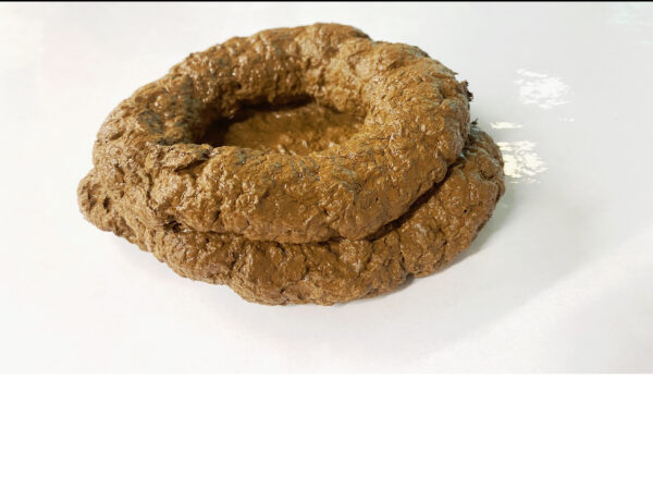 Faux caca, fausse merde, farce et attrape