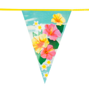 Apportez une explosion de couleurs et de gaieté à votre fête avec cette guirlande de fanions Paradise de 6 mètres ! Parfaite pour une soirée hawaïenne, une garden-party ou un événement estival, elle vous plonge instantanément dans une ambiance exotique et festive.