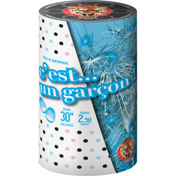 Célébrez l'heureux événement avec notre Artifice Fontaine "C'est un Garçon" ! Un spectacle lumineux et sûr pour annoncer la naissance de votre enfant.