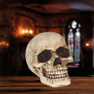 Mettez des frissons dans votre déco avec notre Tête de mort en résine ! Une décoration de fête effrayante, réaliste et parfaite pour toutes vos célébrations thématiques.