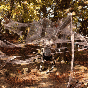 Mettez des frissons dans votre déco avec notre Toile d'araignée avec araignées ! Une décoration de fête effrayante, facile à utiliser et parfaite pour toutes vos célébrations thématiques.