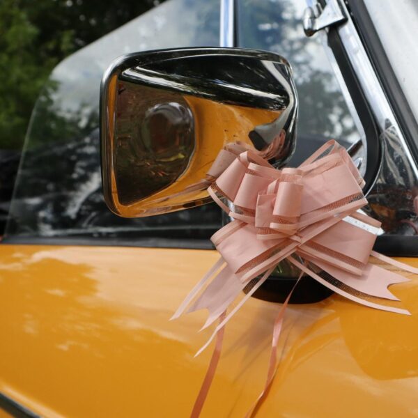 Sublimez votre cortège avec le Kit de décoration de voiture 6 pièces. Inclus : nœuds et tulle pour un mariage élégant. Disponible en Or, Rose ou Blanc (choix en magasin).
