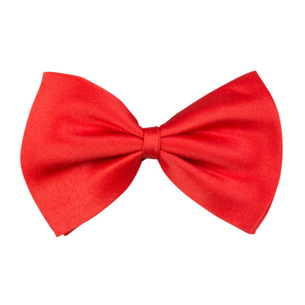 Ajoutez une touche d'élégance à votre tenue avec notre Nœud Papillon Rouge éclatant. Pré-noué et facile à porter, c'est l'accessoire idéal pour vos mariages et soirées chics.