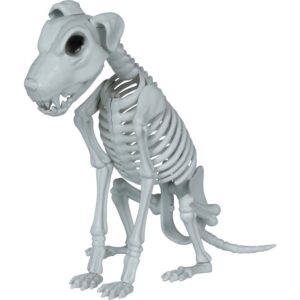 Squelette de chien