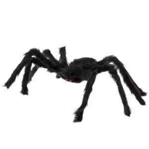Grosse Araignée velue noire